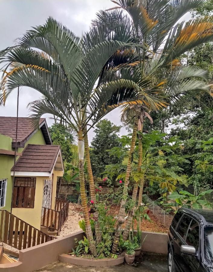 Gables Vacation Rentals With Private Gated Parking Onsite Knockpatrick 外观 照片