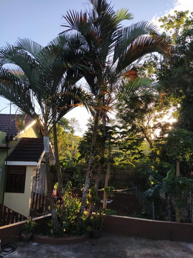 Gables Vacation Rentals With Private Gated Parking Onsite Knockpatrick 外观 照片