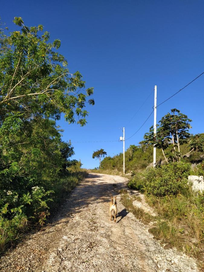 Gables Vacation Rentals With Private Gated Parking Onsite Knockpatrick 外观 照片