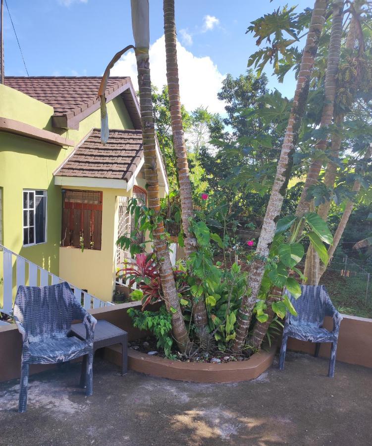 Gables Vacation Rentals With Private Gated Parking Onsite Knockpatrick 外观 照片